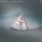 cover: Transistorcake - Future Plan I (Remixes)