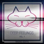 cover: Various - Deep Feelings Vol 7 (Radio Edits)