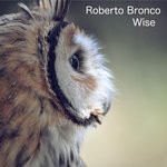 cover: Roberto Bronco - Wise