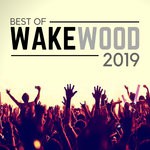 cover: Various - Best Of Wake Wood 2019