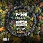 cover: Paege - Diversity