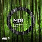 cover: Paege - 70/50 Chance