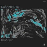 cover: Gabriele Dila - Elevate EP