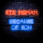 cover: Ste Ingham - Because Of You