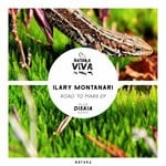 cover: Ilary Montanari - Road To Mars