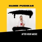 cover: Damir Pushkar - Very Disco