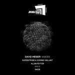 cover: David Meiser - Voices