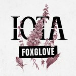 cover: Iota - Foxglove