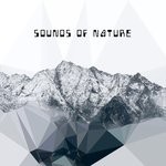 cover: Various - Sounds Of Nature