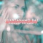 cover: Guantanamo Bae - Harambe Dreamin'