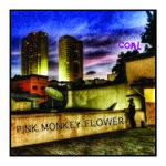 cover: Pink Monkey Flower - Coal