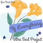 cover: Ultra Soul Project - If Everything