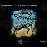 cover: Sakin Bozkurt - In The Shadow Of The Moog