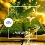 cover: Trippin Fox - Story Teller