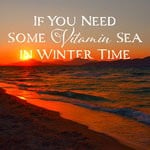 cover: Various - If You Need Some Vitamin Sea In Winter Time