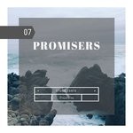 cover: Stone Forte - Promisers