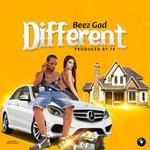 cover: Beez Gad - Different