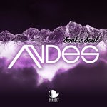 cover: Andes - Soul 2 Soul