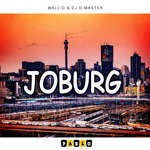 cover: Dj D-master|Wallid - Joburg