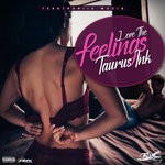 cover: Taurus Ink - Love The Feelings