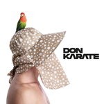 cover: Don Karate - La Classe