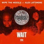 cover: Wipe The Needle - Wait (feat Alex Lattimore)