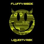 cover: Fluffy Inside - Liquidity Risk