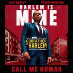 cover: Godfather Of Harlem - Call Me Human