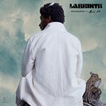 cover: Labrinth - Where The Wild Things