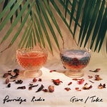 cover: Porridge Radio - Give/Take