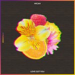 cover: Micah - Love Got You