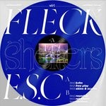 cover: Fleck Esc - Shelters - u(r)blue003