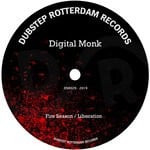 cover: Digital Monk - Fire Season/Liberation