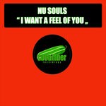 cover: Nu Souls - I Want A Feel Of You