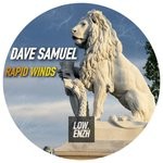 cover: Dave Samuel - Rapid Winds