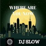 cover: Dj Slow - Where Are You Know