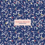 cover: Andrew Brandt - Aspandos