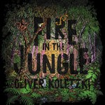 cover: Oliver Koletzki - Fire In The Jungle