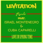 cover: Levitation Records - Love In Springtime