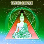 cover: 1200 Live - Hindu Kush