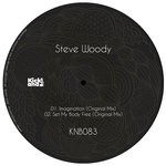 cover: Steve Woody - Imagination