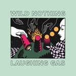 cover: Wild Nothing - Foyer