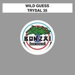 cover: Wild Guess - Trysal 35