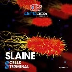 cover: Slaine - Cells