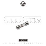 cover: Skore - Formants/Blown Fuse