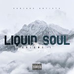 cover: Various - Liquid Soul