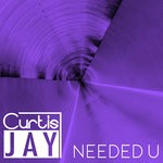 cover: Curtis Jay - Needed U