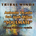 cover: Antonio Ocasio|Josh Milan - Soulmate