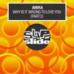 cover: Amira - Why Is It Wrong To Love You (Pt 2)