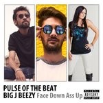 cover: Pulse Of The Beat & Big J Beezy - Face Down Ass Up